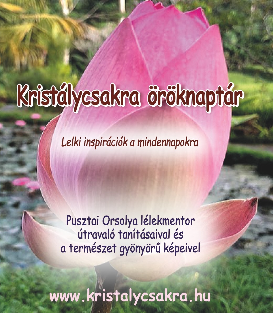 Oroknaptar Borito vegleges07 latvanya 2022 06 28